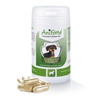 AniForte® capsules anti-tiques pour chiens