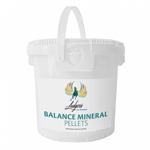 Ludgers Balance granulés minéraux, apport idéal en minéraux, fonction métabolique idéale