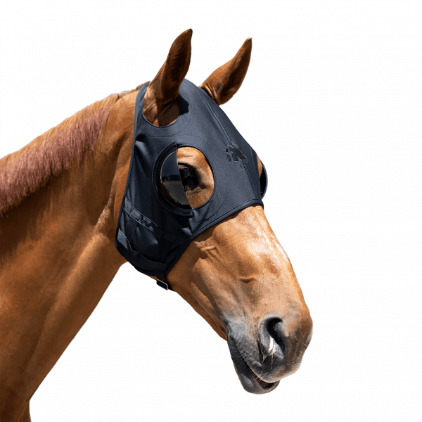 Fenwick Equestrian masque Liquid Titanium avec oeillères, masque thérapeutique